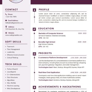 Resume 17